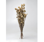 Venkel  'naturel' | gehele bos