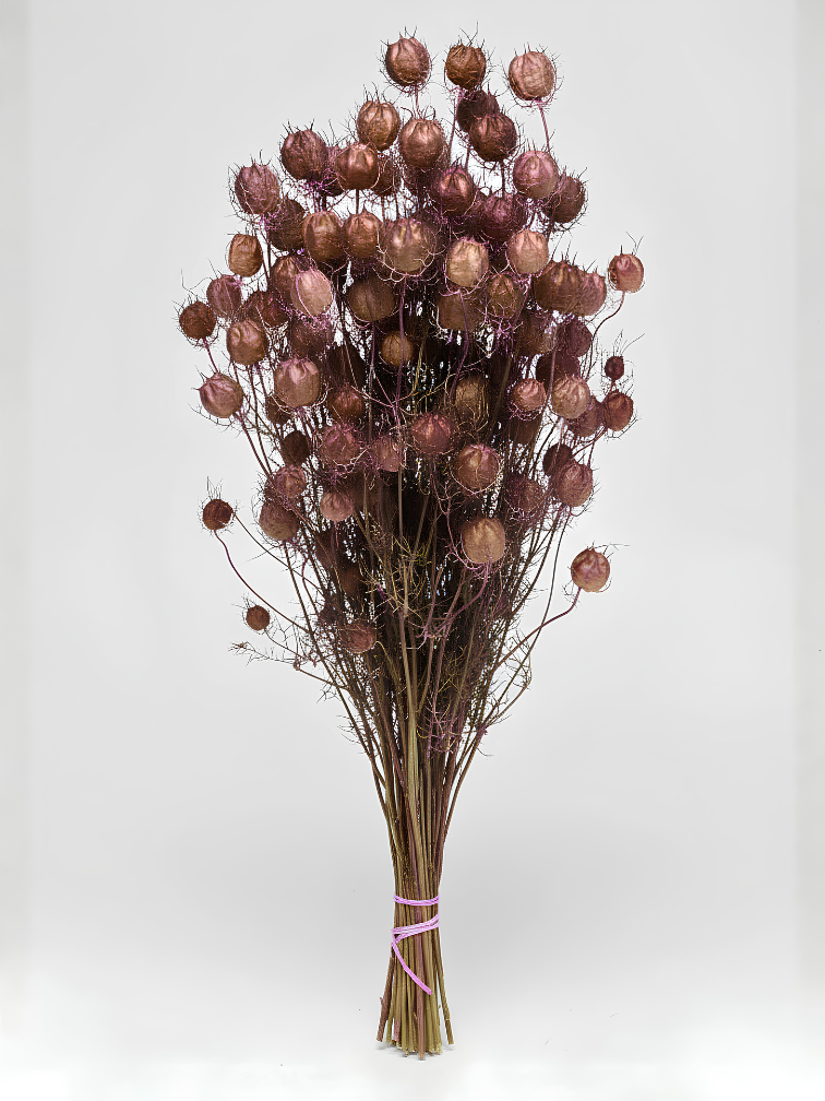 Nigella 'roze' | gehele bos