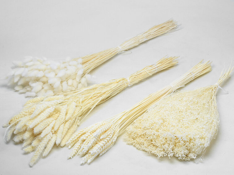 DIY - droogbloemen mix "gebleekt"