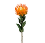 Zijden bloem "Nutans" orange  | 72 cm