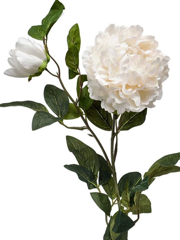 Zijden bloem "Peony" cream | 100cm