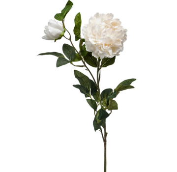 Zijden bloem "Peony" cream | 100cm