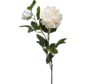 Zijden bloem "Peony" cream | 100cm