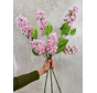 Combi-deal | Zijden bloemenbundel "Hydrangea Paniculata'  - roze