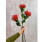 Combi-deal | Zijden bloemenbundel "Nutan" - rood