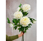 Combi-deal | Zijden bloemenbundel "Peony XL" - wit