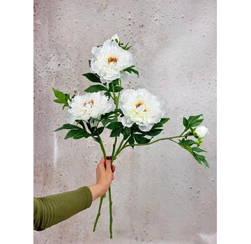 Combi-deal | Zijden bloemenbundel "Peony" - crème
