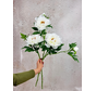 Combi-deal | Zijden bloemenbundel "Peony" - crème