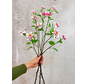 Combi-deal | Zijden bloemenbundel "Clematis" - roze