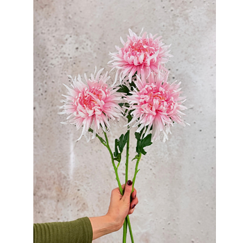Combi-deal | Zijden bloemenbundel "Dahlia Spider" - roze