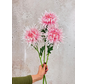 Combi-deal | Zijden bloemenbundel "Dahlia Spider" - roze