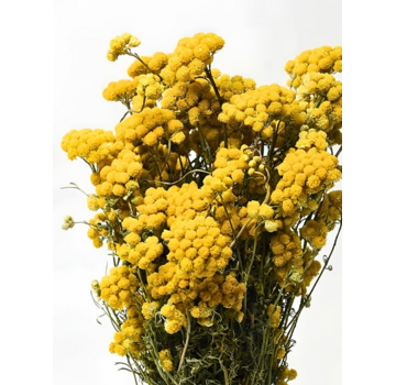 Lonas 'naturel' | gehele bos
