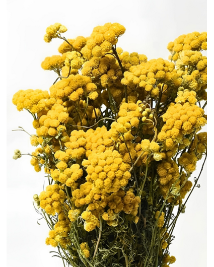 Lonas 'naturel' | gehele bos