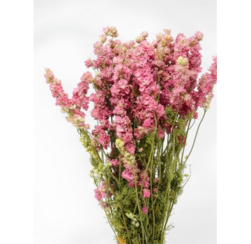 Delphinium 'roze' | gehele bos