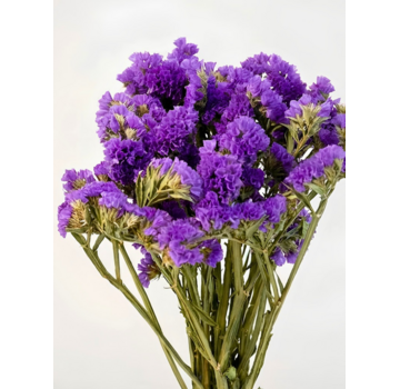Statice Sinuata 'paars'