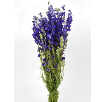 Delphinium 'dark blue' | gehele bos
