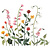 Lilipinso stickers muraux Queyran Large Wild Flowers