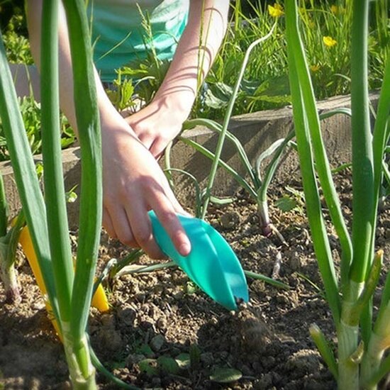 Quut Quut Cuppi Lagoon Green + Yellow + balle bleu