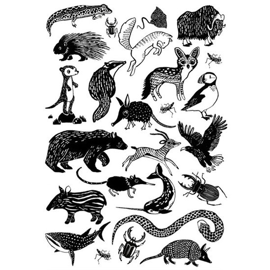 Petit Monkey Petit Monkey tatouages Animaux Noirs +3ans