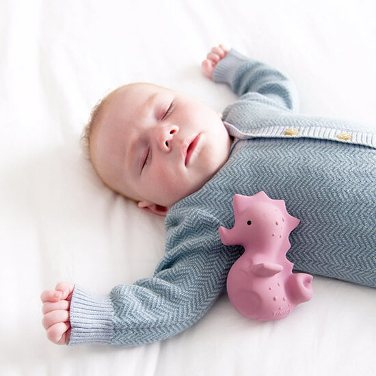 Tikiri jouet de bain avec cloche cheval de mer