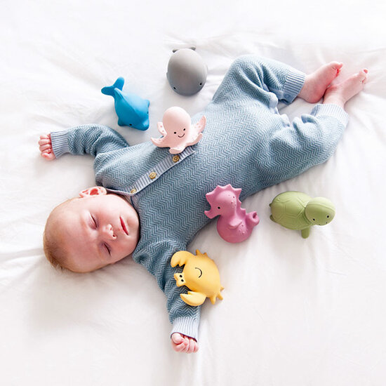 Tikiri jouet de bain avec cloche cheval de mer