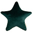 Coussin étoile Aristote Jungle Green Nobodinoz