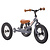 Trybike Loopfietsen Trybike Steel draisienne 2-en-1 Gris