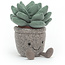 Jellycat Peluche Jellycat Silly Succulent Azulita