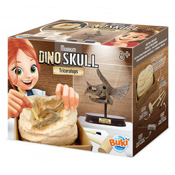 Buki kit d'excavation crâne de dinosaure Triceratops