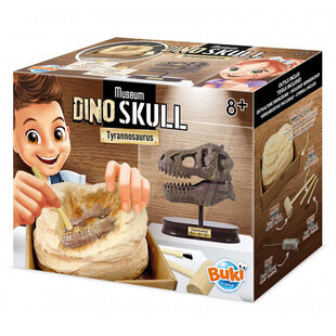 Buki kit d'excavation crâne de dinosaure T-rex