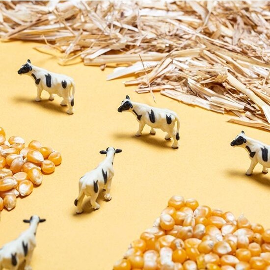 Petit Boum Bouteille sensorielle farm Petit Boum