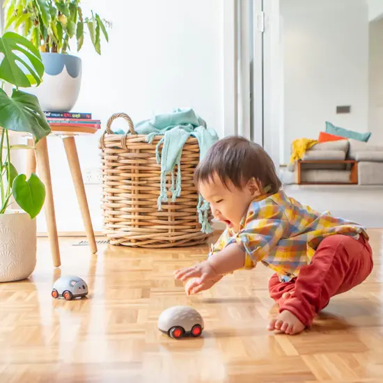 Tiger Tribe Tiger Tribe | Pull-backs - Animaux australiens