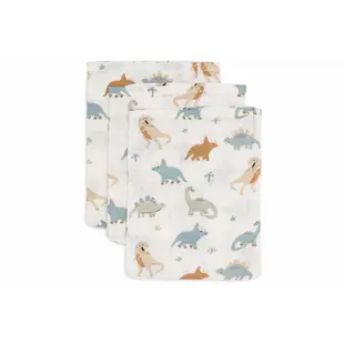 Jollein | Flanelle hydrophile 15x20cm Roarsome (3Pack)
