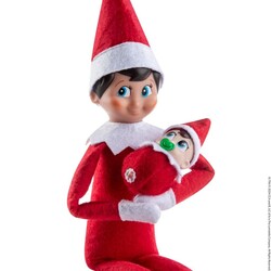 The Elf On The Shelf | Frost Pips Mini Blooms Baby Elf Garçon aux yeux bruns