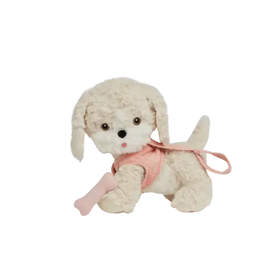 Olli Ella Olli Ella | Dinkum Dog Cookie