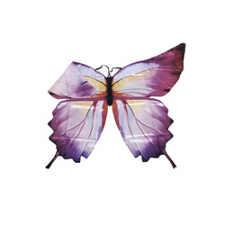 Great Pretenders | Ailes souples de papillon ombré 4-6Y