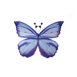 Great Pretenders | Papillon mythique Ailes souples 4 - 6 Y