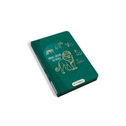 Kidywolf | Kidydraw Mini Tablette à dessin Animaux autours du monde
