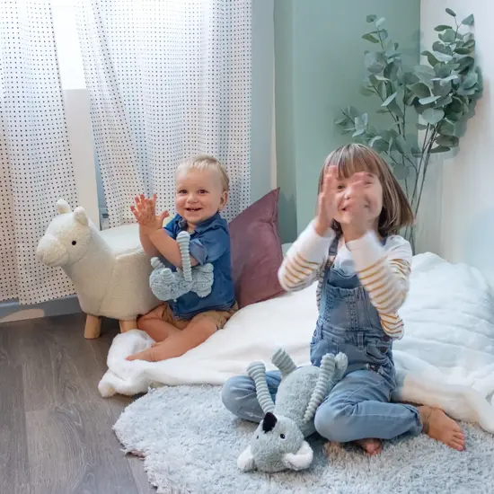 Les déglingos | Les Ptipotos - Peluche Trankilou la mère koala et son bébé menthe