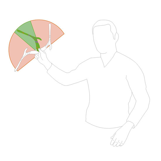 Haba Haba | Terra Kids  Boomerang