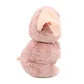 Les déglingos | Les Ptipotos - Peluche Pioupiou poule blanche maman et son bébé
