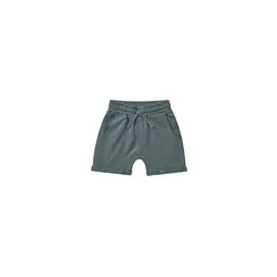 Rylee and Cru | Short décontracté Indigo
