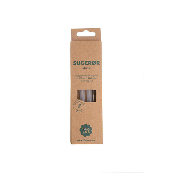 Blafre Blafre 3 pailles pour gourde 300 ml
