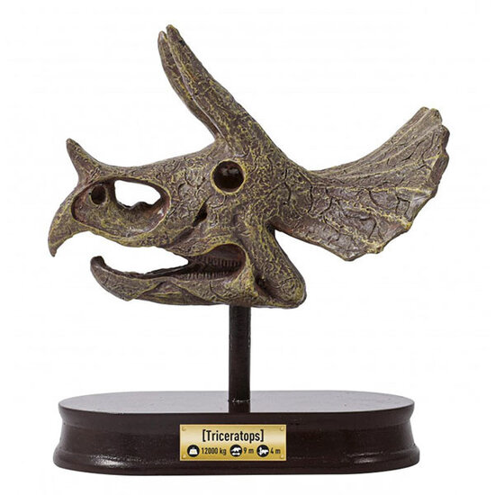 Buki Buki kit d'excavation crâne de dinosaure Triceratops