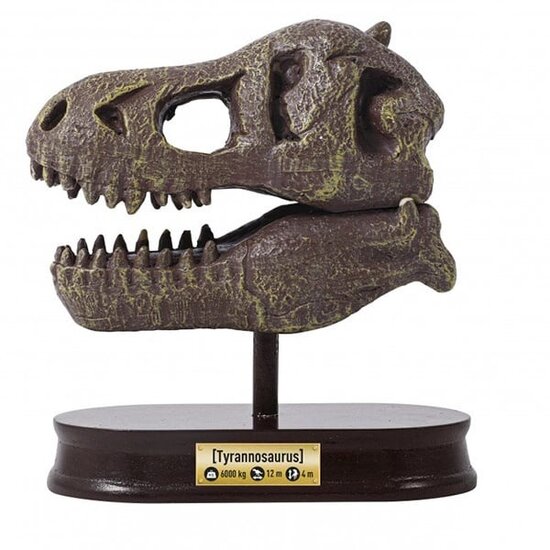 Buki Buki kit d'excavation crâne de dinosaure T-rex