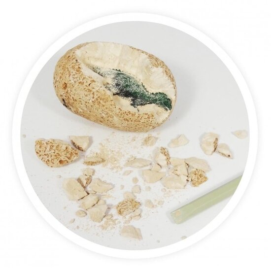 Buki Buki | Œufs de dinosaures