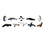 Safari Ltd Animaux jouets de l'Antarctique Safari Ltd