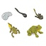 Safari Ltd Cycle de vie de la Grenouille Safari Ltd