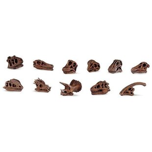 Jouets crânes de dinosaures Safari Ltd