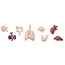Safari Ltd Safari Ltd. | Figures de jeu Organes humains